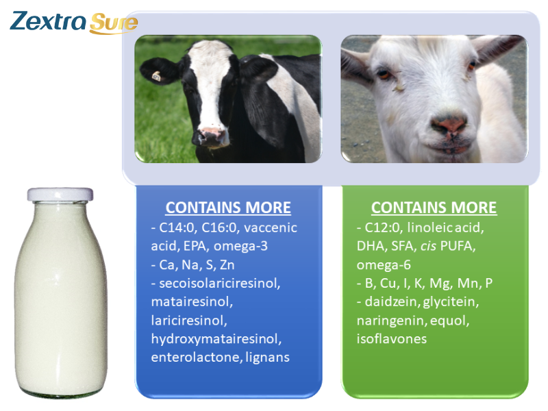 is-goat-milk-dairy (7)